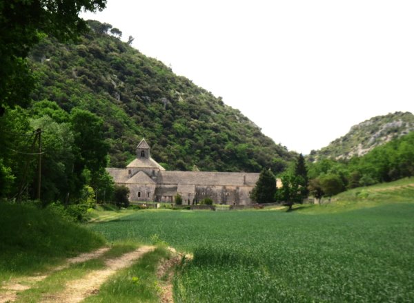 Abtei von Senanque