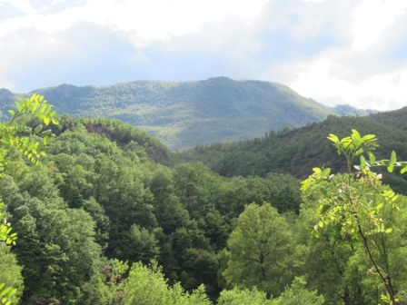 Albanen