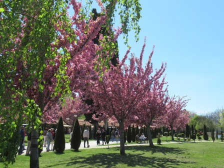 Park Kloster Sveti Naum