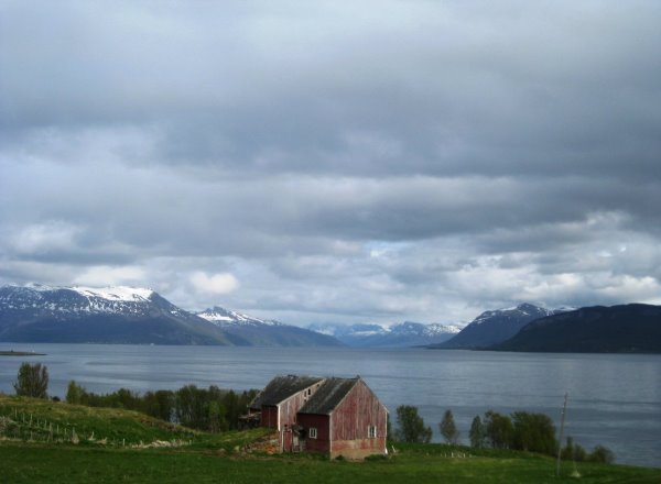 Ofotfjorden 