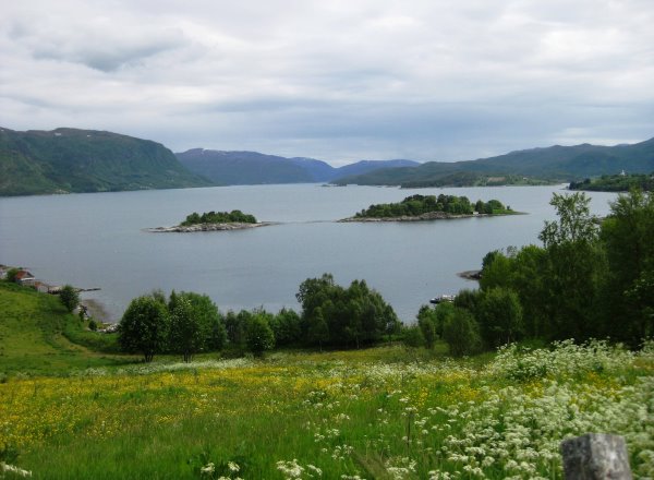 Vinjefjorden 13